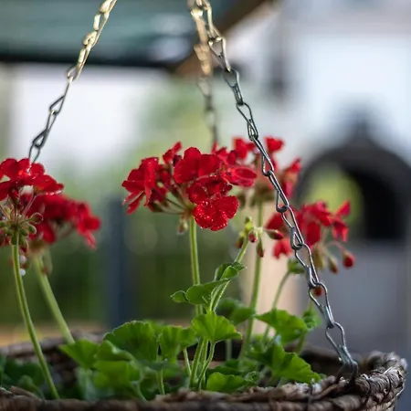 Апартаменты Private House With Garden Near The Bacvice - Ksenia Сплит